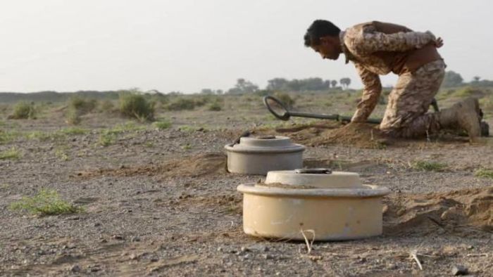 مزارع يمنية تتنفس الحياة مجدداً بعد تطهيرها من الألغام الحوثية