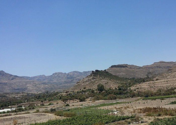 حرب الحوثيين العبثية تدمر القطاع الزراعي في اليمن