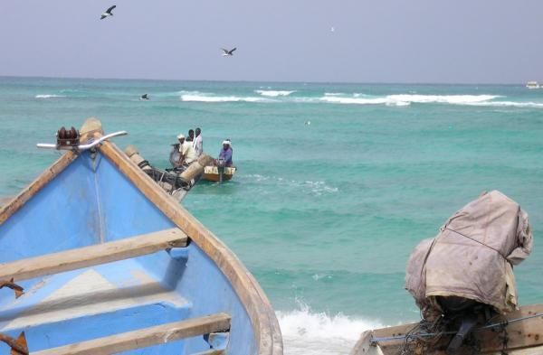 فقدان 7 صيادين قبالة شواطئ المخا (أسماء)