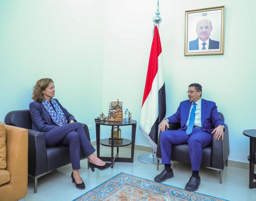 وزير الخارجية يبحث مع المبعوثة النرويجية عملية السلام والتطورات في اليمن