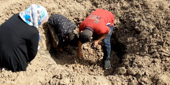 لجنة التحقيق تطلع على الاضرار التي خلفتها مقذوفات المليشيا على قرية جنوب تعز