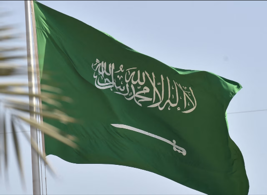 بيان سعودي تاريخي يخرص ألسنة الحوثيين ويضع النقاط على الحروف بشأن القضية الفلسطينية