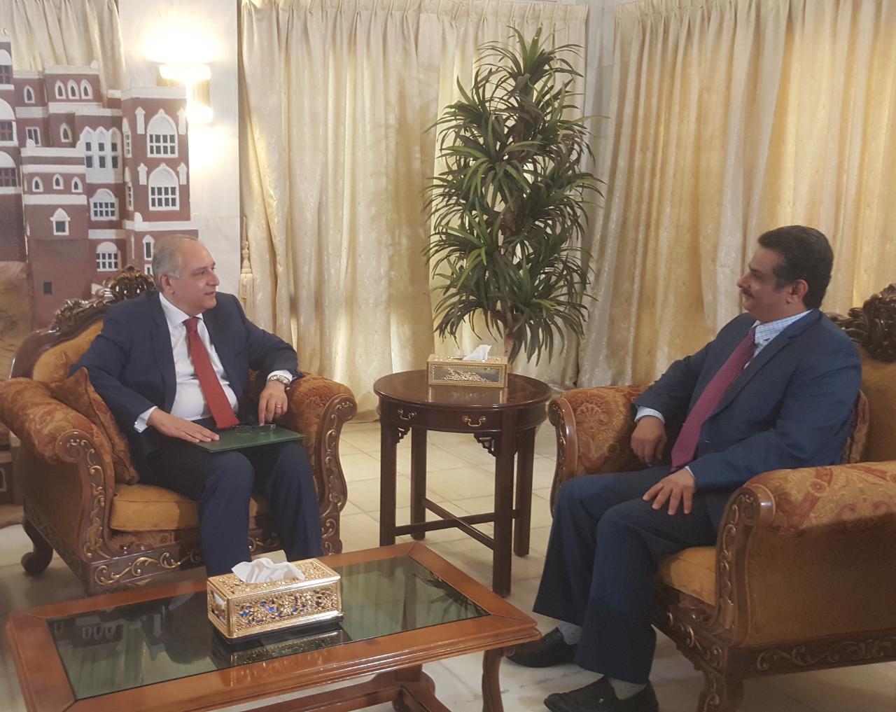 الوزير العناني يبحث مع السفير المصري التعاون الثنائي في مجال الطاقة الكهربائية
