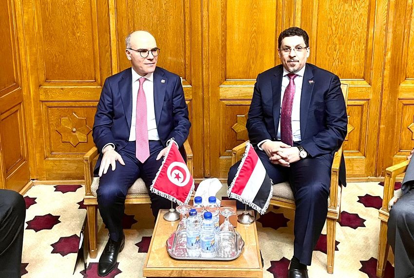 وزير الخارجية يبحث مع نظيره التونسي مجالات التعاون بين البلدين