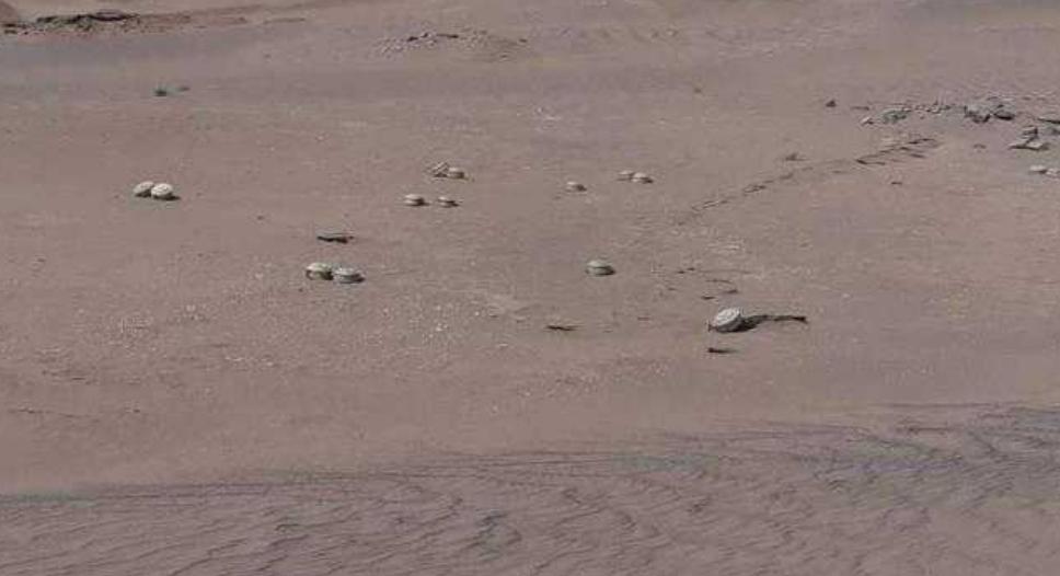 تفكيك حقل ألغام حوثي في مديرية الدريهمي بمحافظة الحديدة