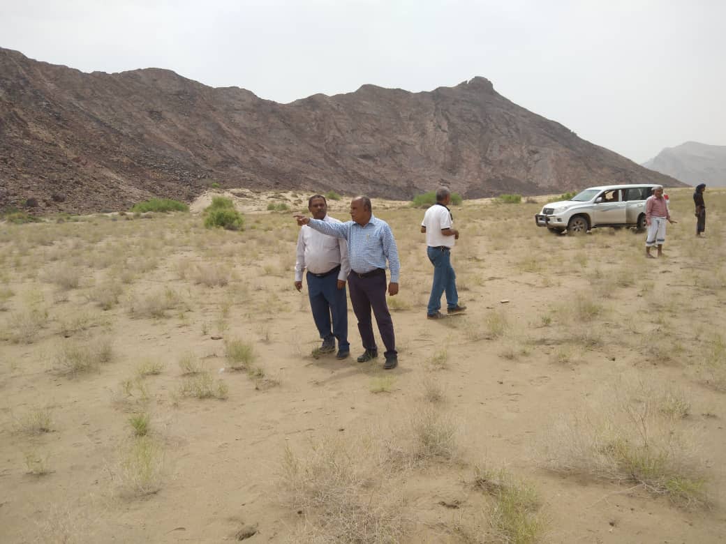 وزارة الزراعة تنفذ مسح تقييمي للجراد الصحراوي في أبين