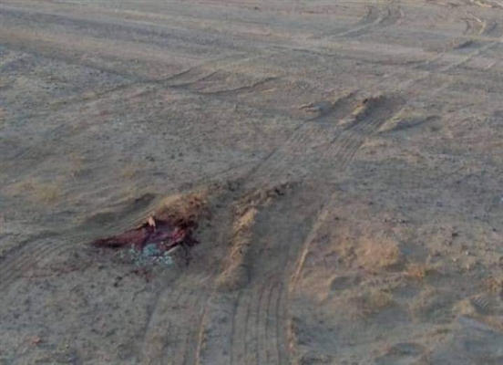 مقتل سائق شاحنة برصاص عناصر حوثية في الجوف