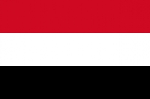 الحكومة : أستطعنا تحصيل 6 مليار ريال عوائد تطبيق القرار 49