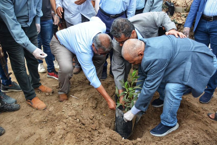 وزير المياه والبيئة يدشن حملة تنظيف وتشجير ساحل أبين