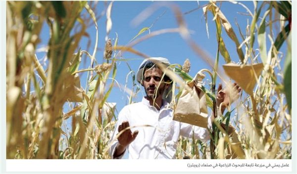 وثائق مسربة تؤكد تورط مليشيا الحوثي بالمتاجرة بالمبيدات القاتلة