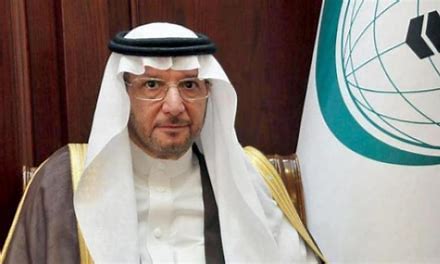 منظمة التعاون الإسلامي تؤكد دعمها لجهود الحكومة اليمنية