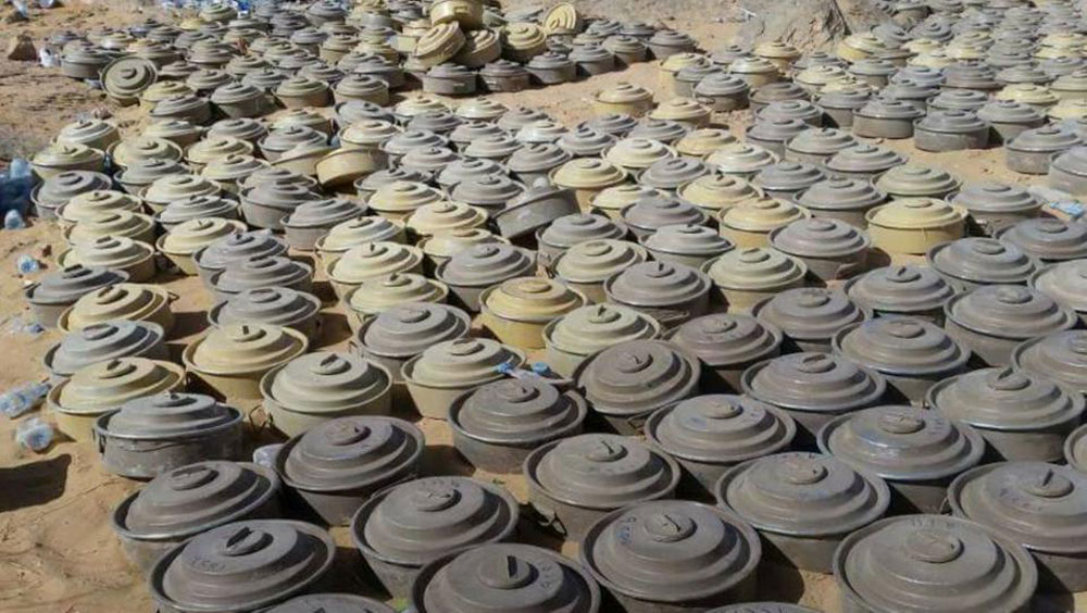 اتلاف 163 لغماً زرعتها مليشيات الحوثي بمديرية حرض محافظة حجة