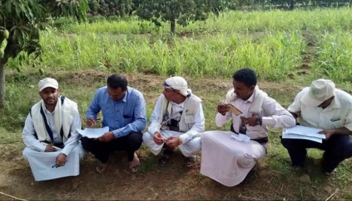 نجت مزارعهم من الجراد فتسلط عليهم من هو أخبث .. جباية الحوثي تحاصر أقوات الفقراء وتفرض الخمس على جميع محاصيلهم 