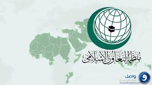 منظمة التعاون الإسلامي تندد بمحاولة ميليشيا الحوثي استهداف جامعتي نجران وجازان والمدنيين في خميس مشيط