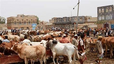 تجار في صنعاء يشكون ابتزاز مليشيا الحوثي خلال إجازة العيد