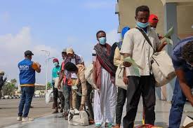 الهجرة الدولية: 300 ألف مهاجر افريقي في اليمن يحتاجون للمساعدات الإنسانية وخدمات الحماية